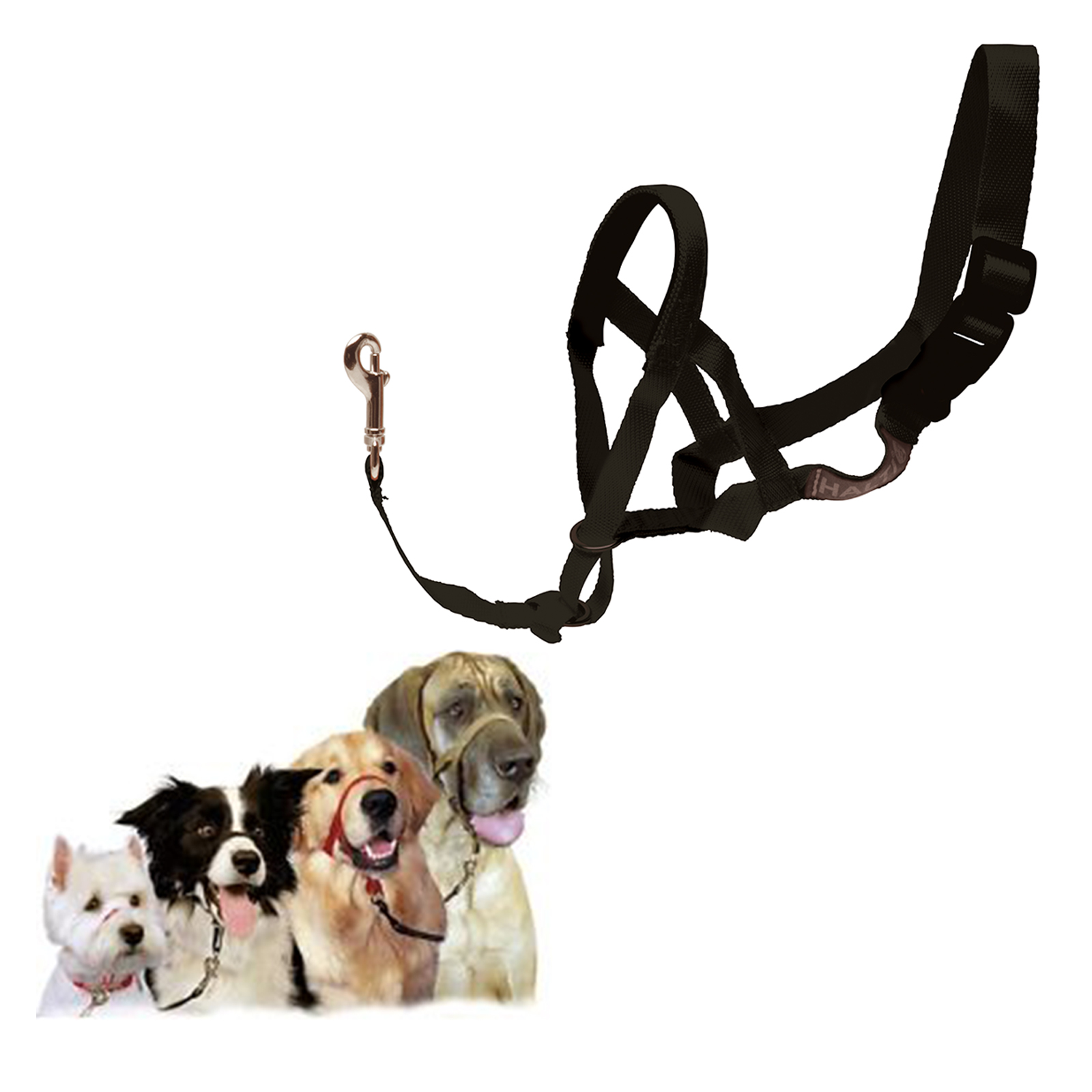 Purina Petlife Halti Head Collar Black Medium Size 2 For Dogs - $13.48