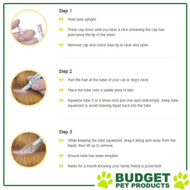 Revolution For Puppies & Kittens - All Sizes - Picture 5 of 5