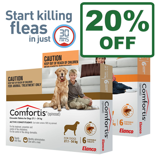 Budget pet shop Head to Tail Pets was formally know as Budget Pet Shop and is a family owned and run business. We have been operating since Our goal is to provide excellent customer service at .