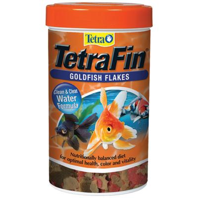 How Often Should You Feed Goldfish - Johanna Fruehauf