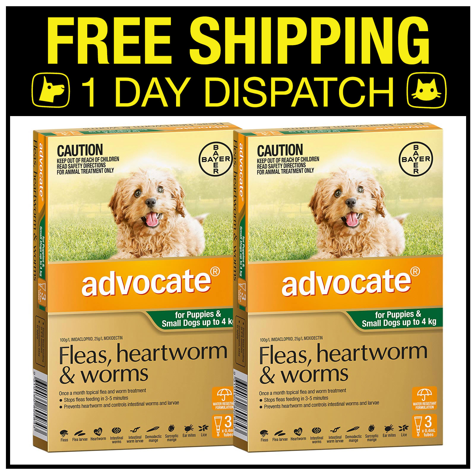 advocate-for-dog-6-pack-flea-heartworm-worms-all-sizes-ebay