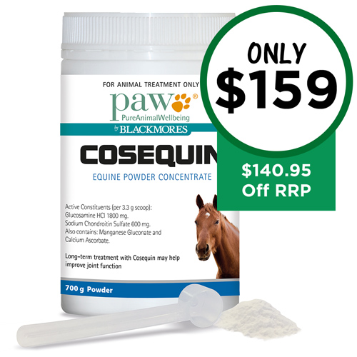 Coupon budget pet care