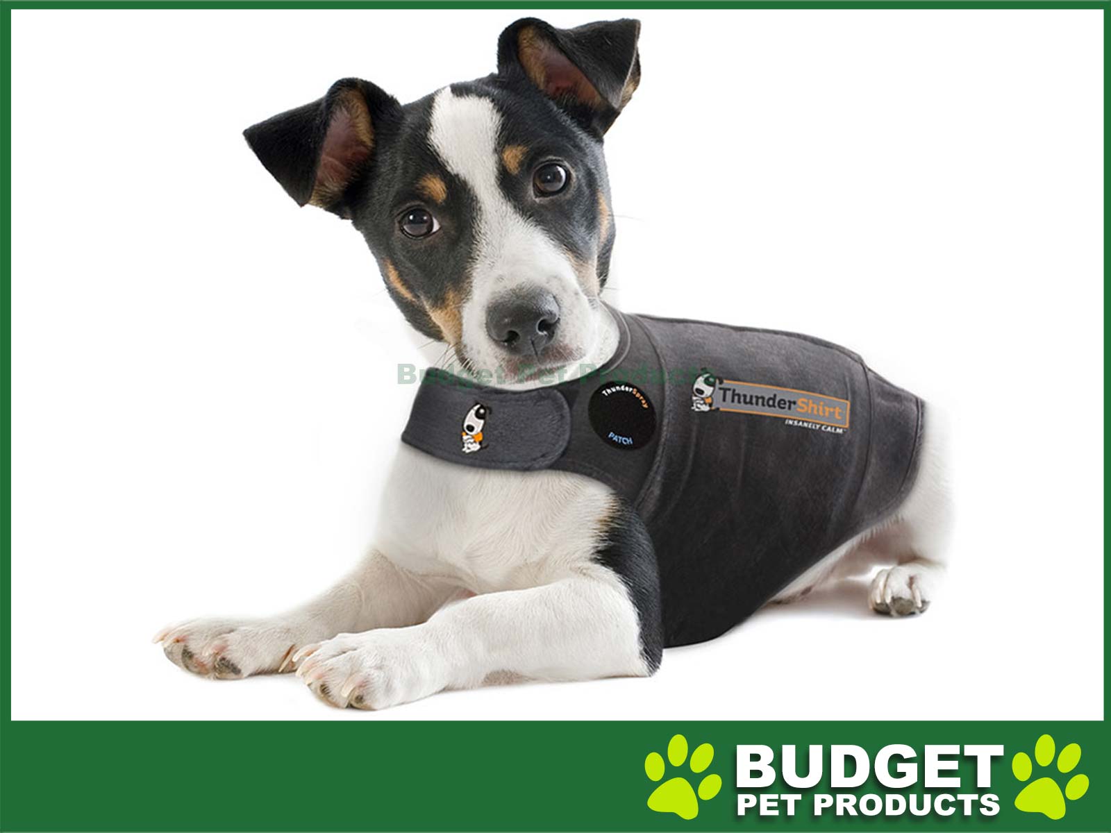 Prestige Pet Thundershirt Grey Cat