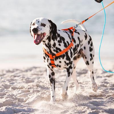 rogz utility harness